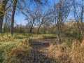Boyceville Land Real Estate