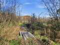 Boyceville Land Real Estate