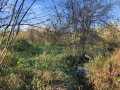 Boyceville Land Real Estate