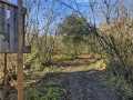 Boyceville Land Real Estate