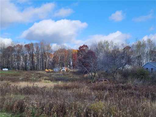 Elk Mound Land Real Estate