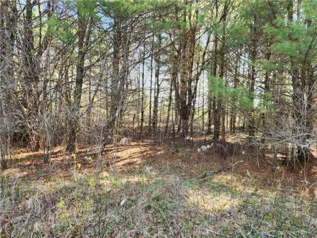 Black River Falls Residential Real Estate