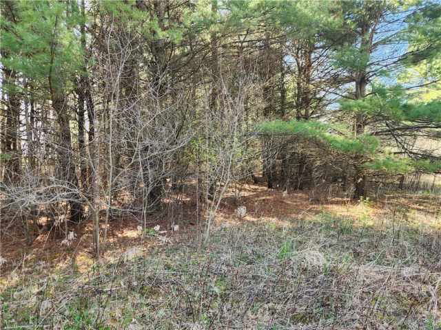 Black River Falls Residential Real Estate
