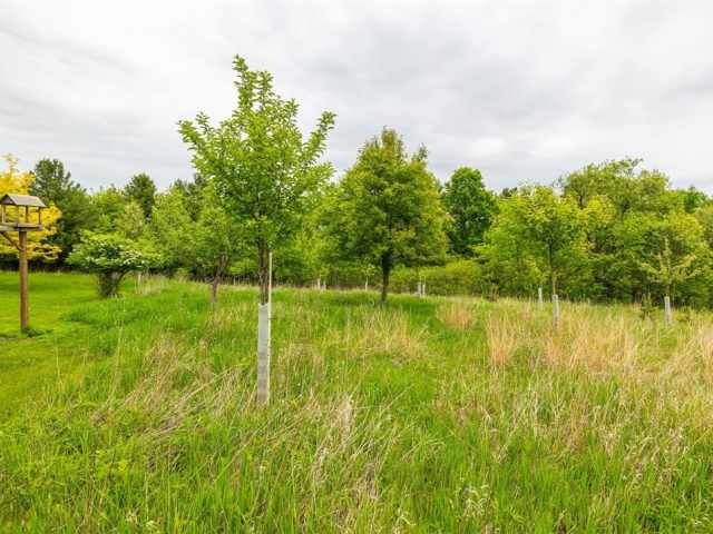 Boyceville Residential Real Estate