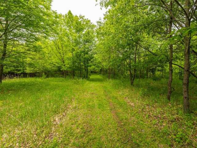 Boyceville Residential Real Estate