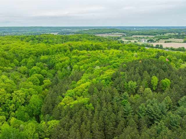 Boyceville Residential Real Estate
