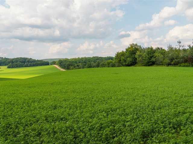 Menomonie Land Real Estate