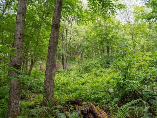 Menomonie Land Real Estate