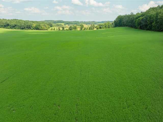 Menomonie Land Real Estate