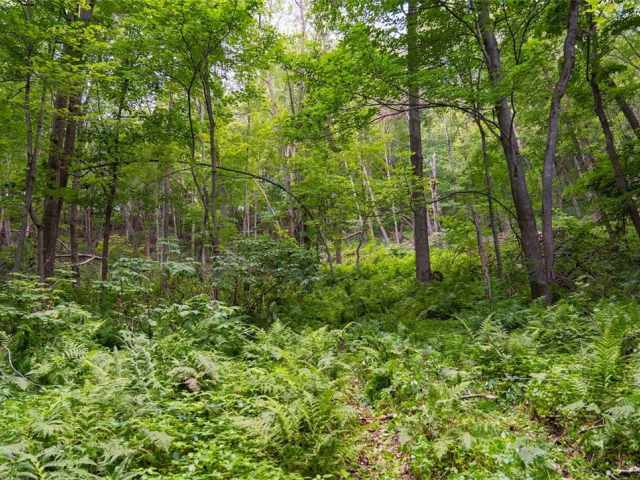 Menomonie Land Real Estate