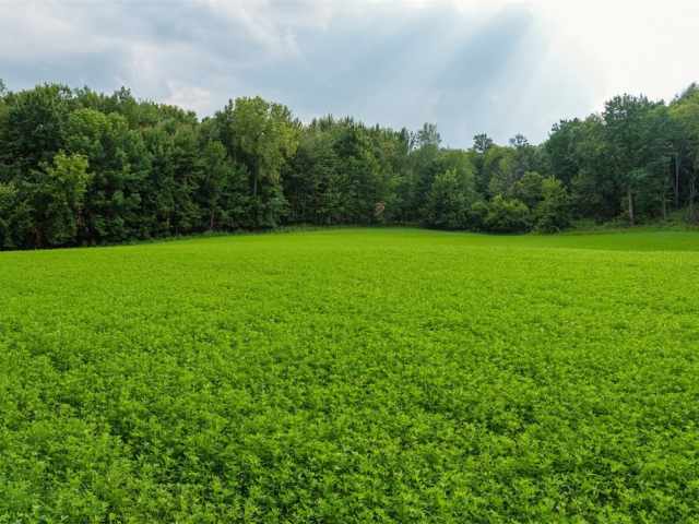 Menomonie Land Real Estate