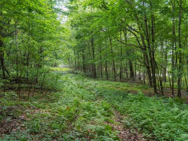 Menomonie Land Real Estate