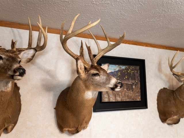 Menomonie Land Real Estate