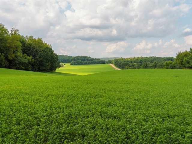Menomonie Land Real Estate