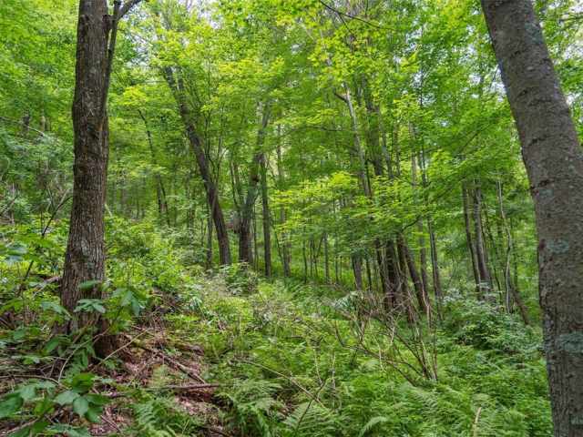 Menomonie Land Real Estate