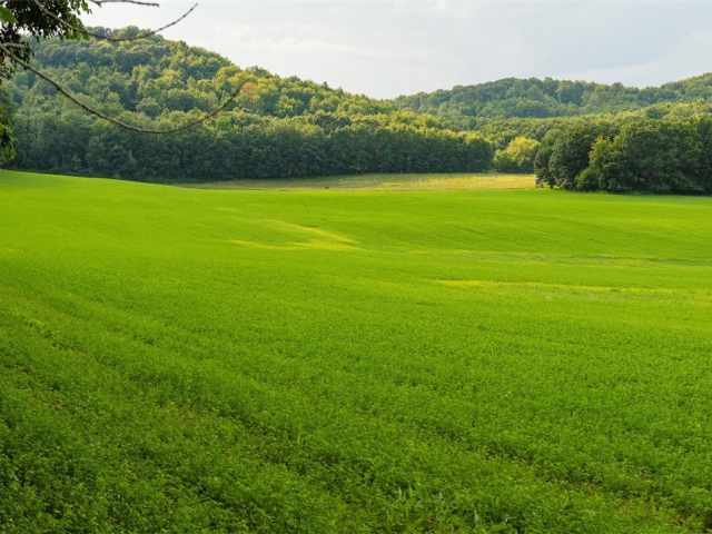 Menomonie Land Real Estate