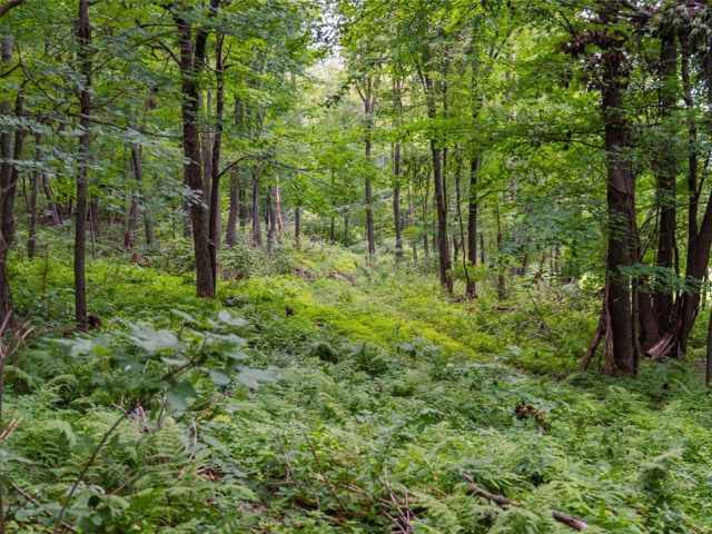 Menomonie Land Real Estate