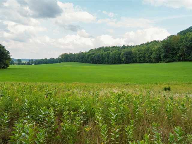 Menomonie Land Real Estate