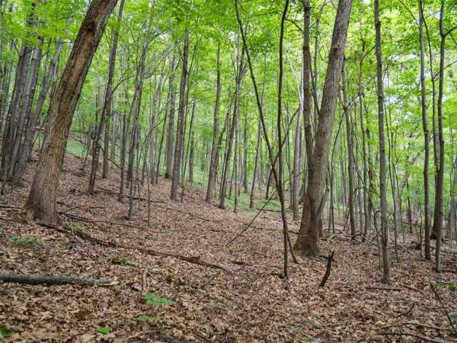 Menomonie Land Real Estate
