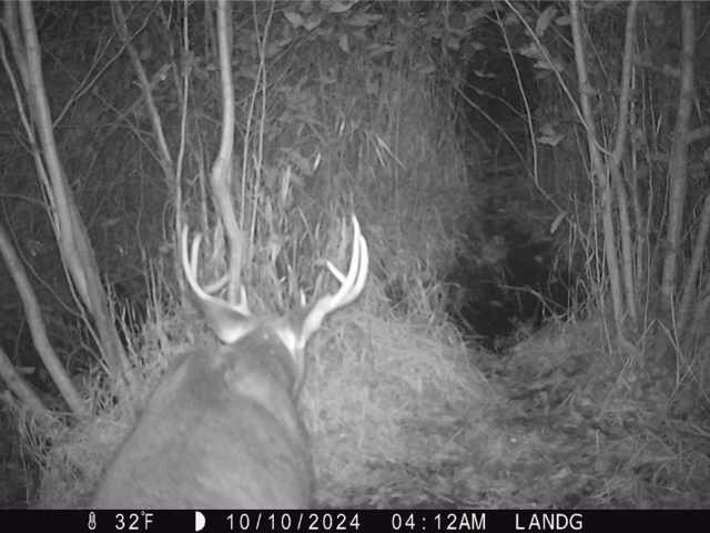 Elk Mound Land Real Estate