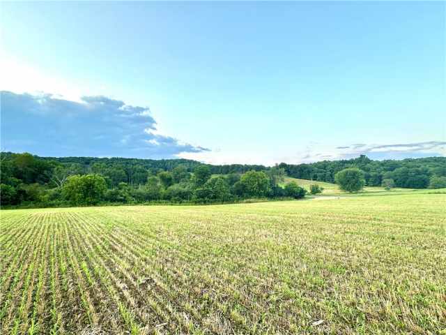 Elk Mound Land Real Estate
