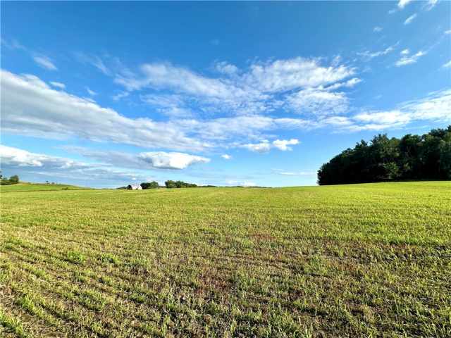 Elk Mound Land Real Estate