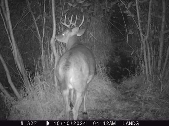 Elk Mound Land Real Estate