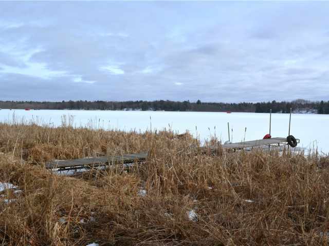 Bloomer Residential Real Estate