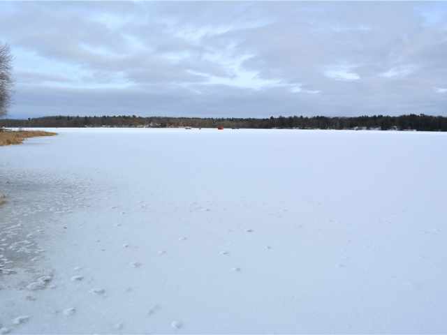 Bloomer Residential Real Estate