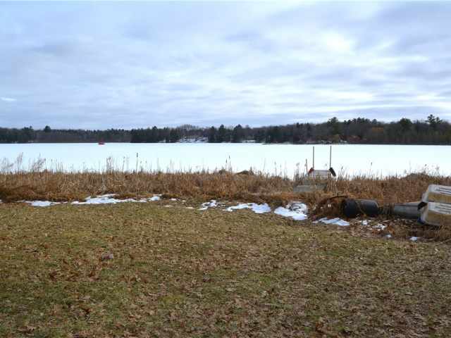 Bloomer Residential Real Estate