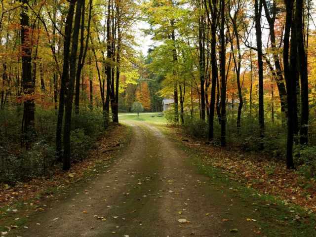 Elk Mound Residential Real Estate