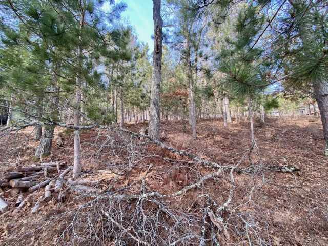 Gordon Residential Real Estate