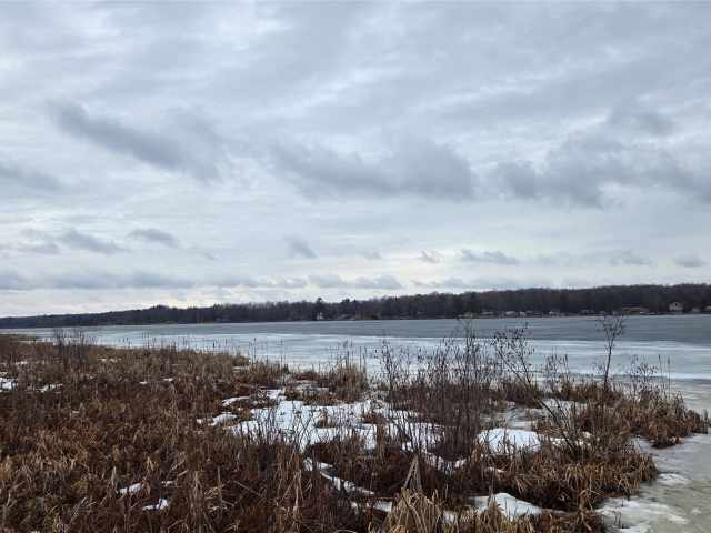 New Auburn Residential Real Estate