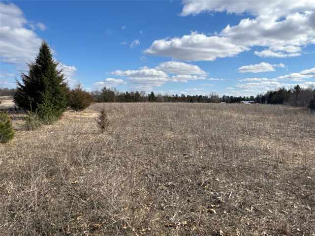 Mondovi Land Real Estate