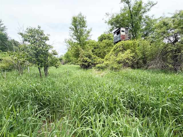 Wheeler Land Real Estate