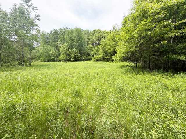 Wheeler Land Real Estate