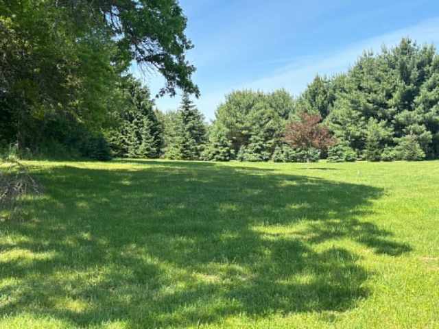 Colfax Residential Real Estate
