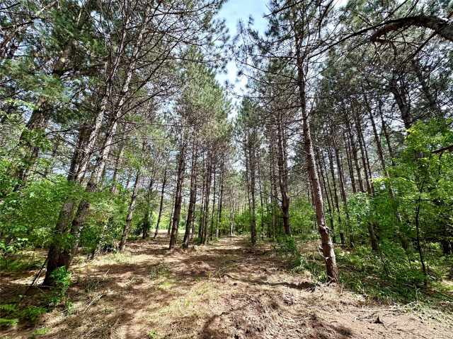 Colfax Land Real Estate