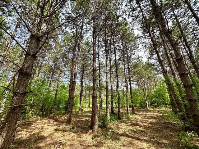 Colfax Land Real Estate