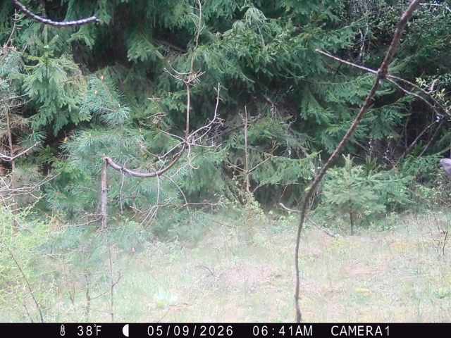 Colfax Land Real Estate