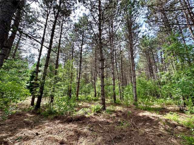 Colfax Land Real Estate