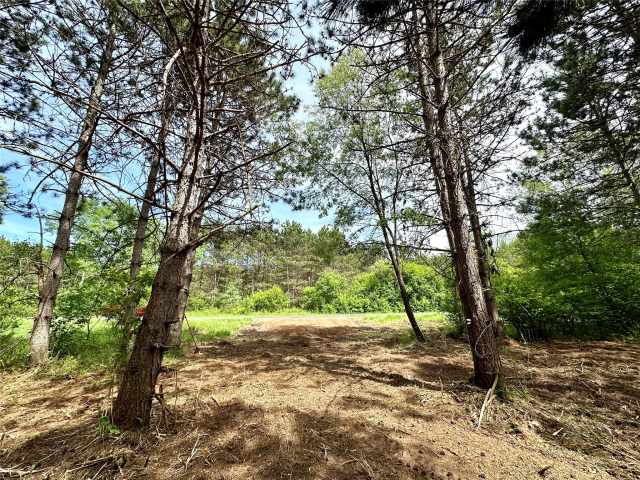 Colfax Land Real Estate