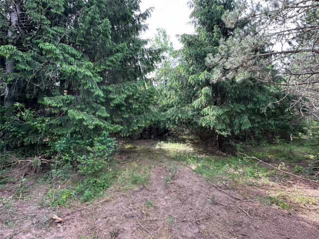 Colfax Land Real Estate