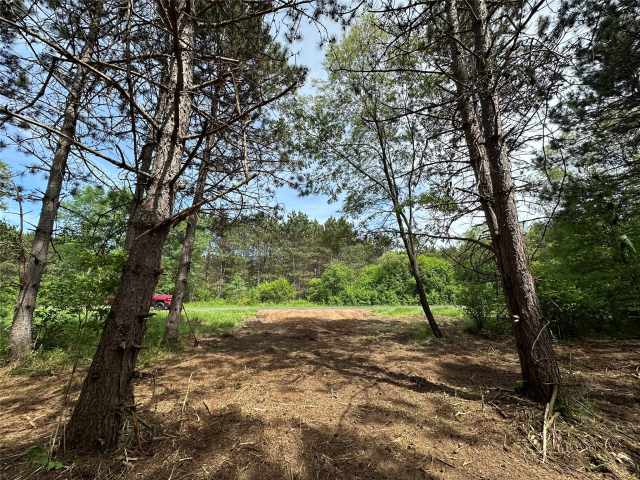 Colfax Land Real Estate