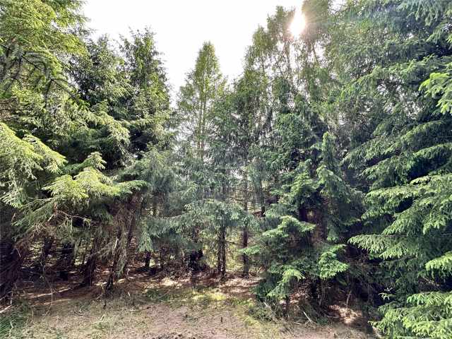 Colfax Land Real Estate