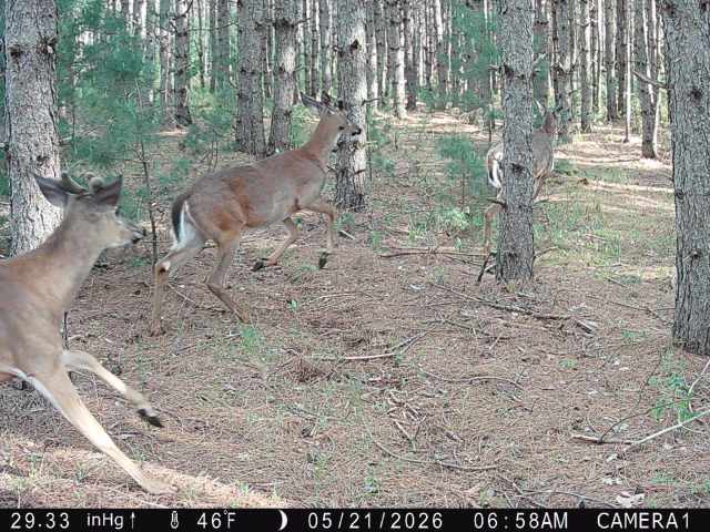 Colfax Land Real Estate