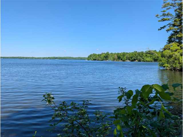 Birchwood Residential Real Estate