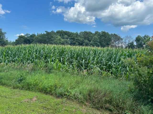 Menomonie Land Real Estate
