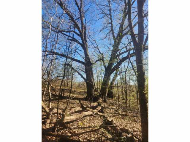 Knapp Land Real Estate
