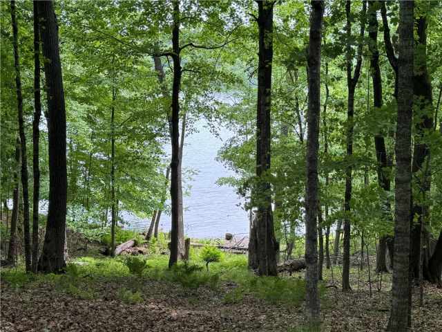 Birchwood Residential Real Estate